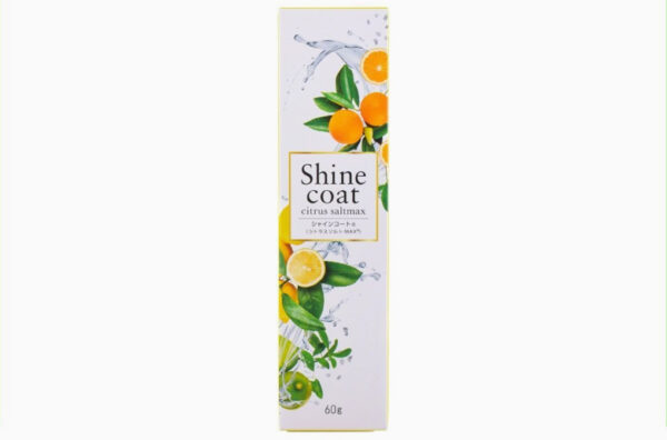 研磨剤不使用歯磨き粉 シャインコート